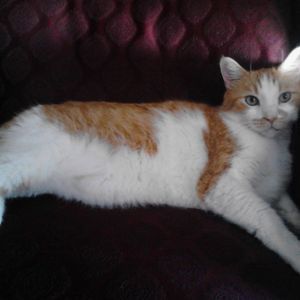 Meet your Posher, Linda